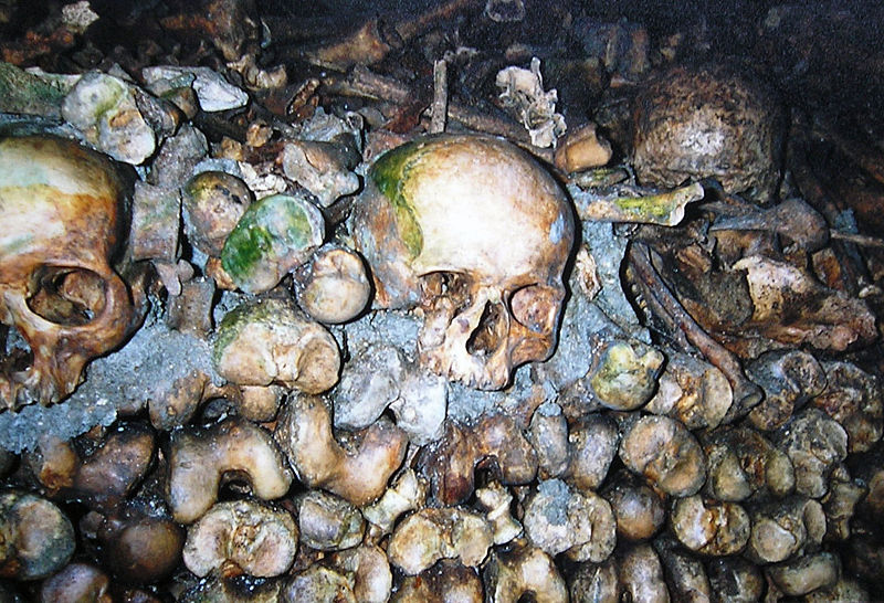 文件:Paris catacombes.jpg