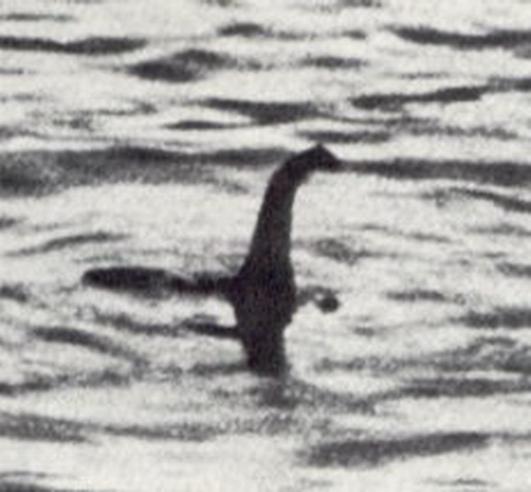 文件:Lochnessmonster.jpg