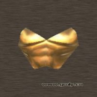 文件:Tr4 breastplate.jpg