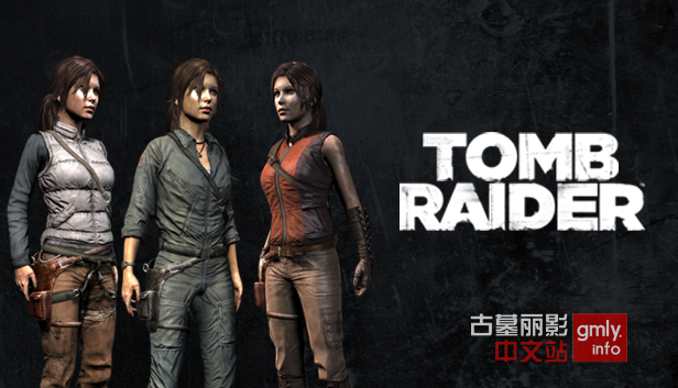 文件:Tr2013dlc-skin.png