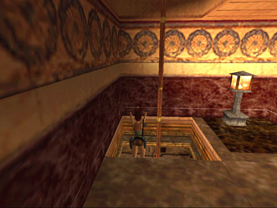 文件:Holebug3.jpg