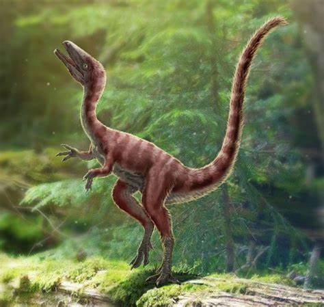 文件:Vraptor.jpg